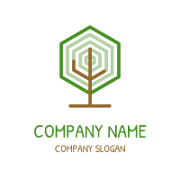 Modern Hexagon Tree Logo Logo Design